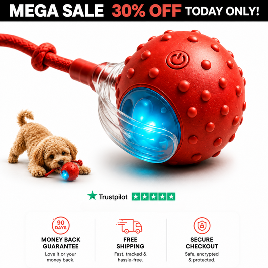 ZoomiesBall